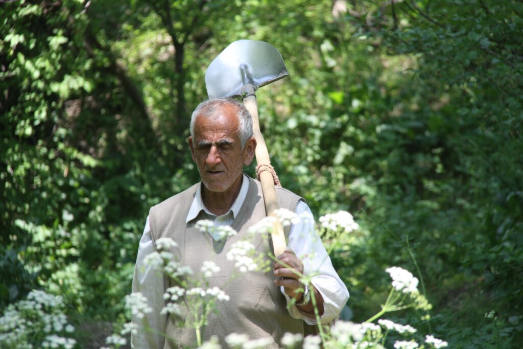 elderly man gardening